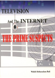 Television And The Internet The Prime Suspects