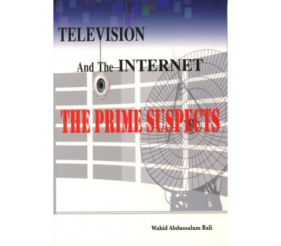 Television And The Internet The Prime Suspects
