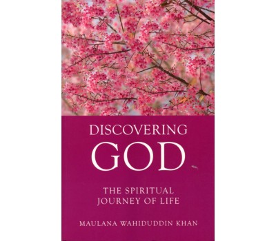 DISCOVERING GOD