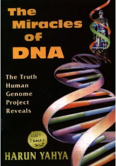 The Miracles of DNA