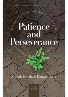 PATIENCE AND PERSEVERANCE