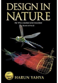 Design in Nature Design in Nature