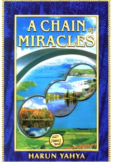 A CHAIN OF MIRACLES A CHAIN OF MIRACLES