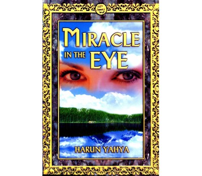 Miracle in the Eye Miracle in the Eye