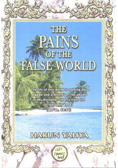 The Pains of the False World