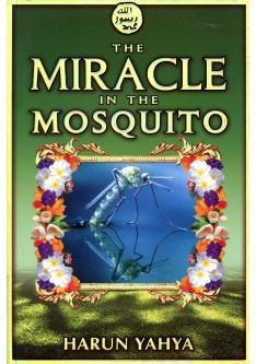 The Miracle in the Mosquito