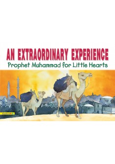 An Extraordinary Experience (PB)