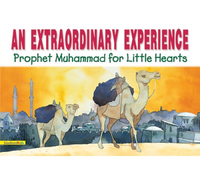 An Extraordinary Experience (PB)